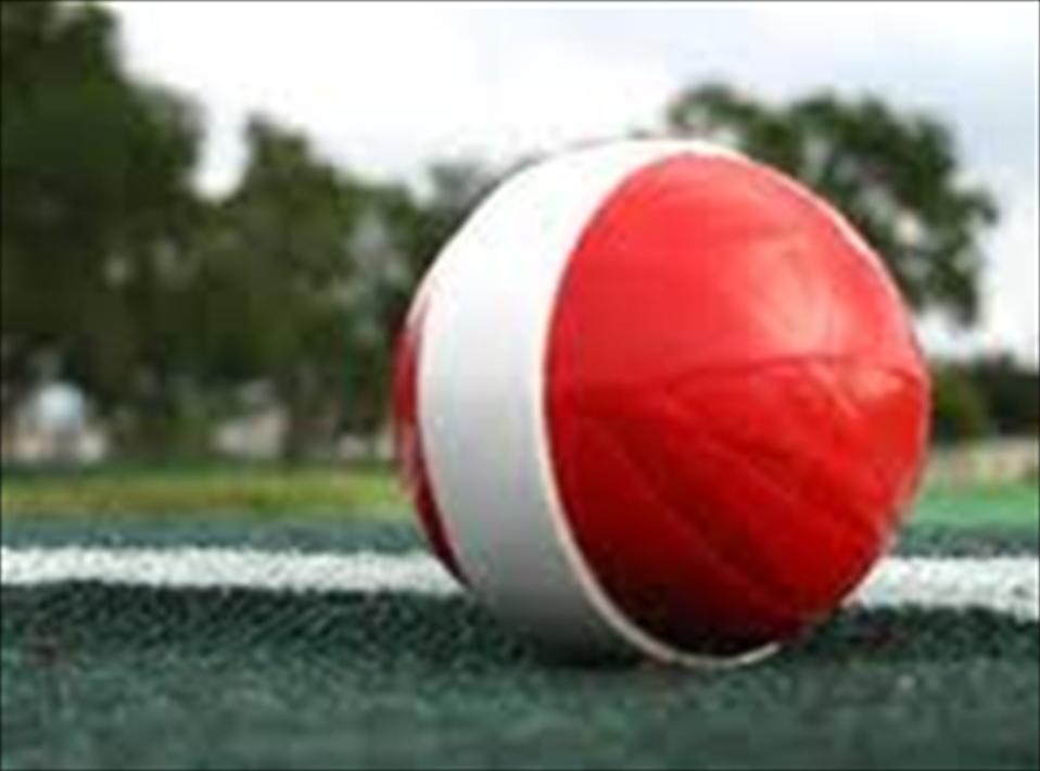 Singer Tape Ball Cricket final on September 8 Batsman Cricket